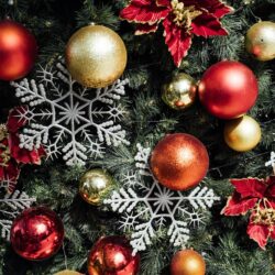 eindejaarspakketten voor bedrijven